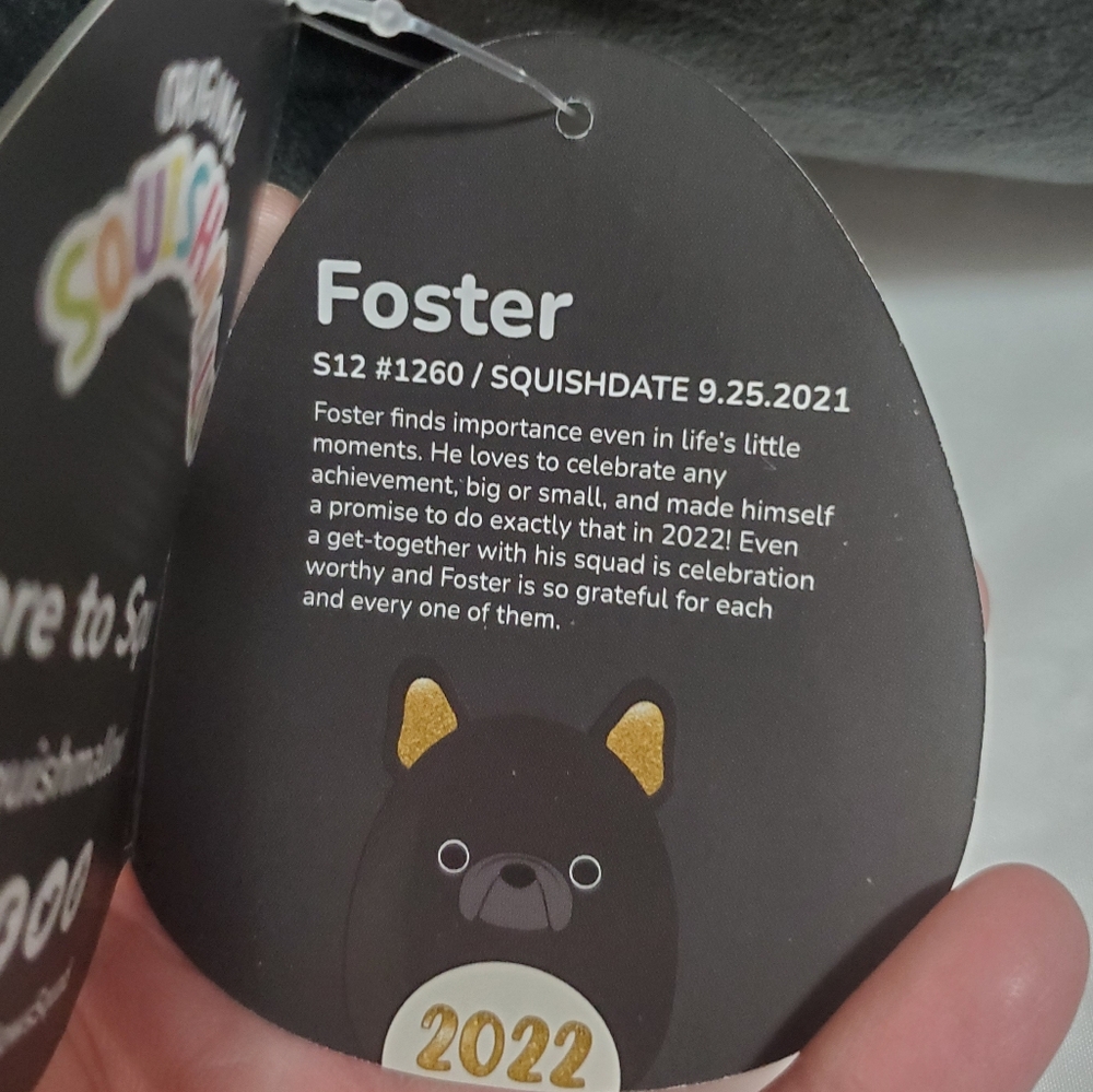 NWT Foster, French Bulldog 2022 Select Series Squishmallows - Picture 7 of 10